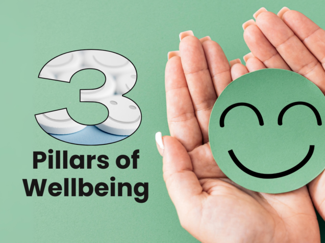 The Three Pillars of Wellbeing(1)